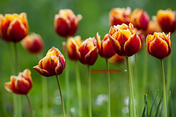_IMG_5640